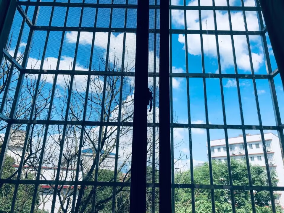 窗外